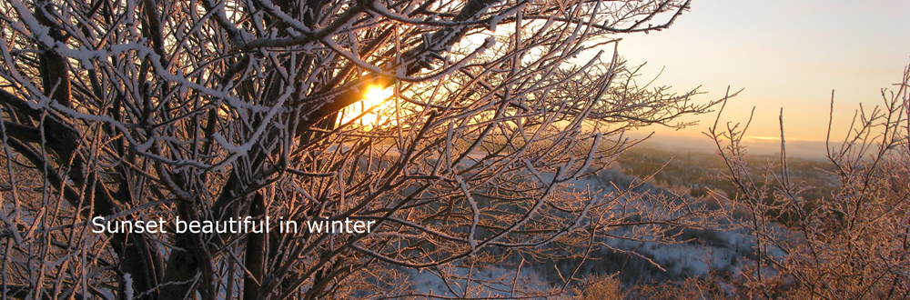 swedishwintersun-2.jpg