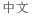 中文
