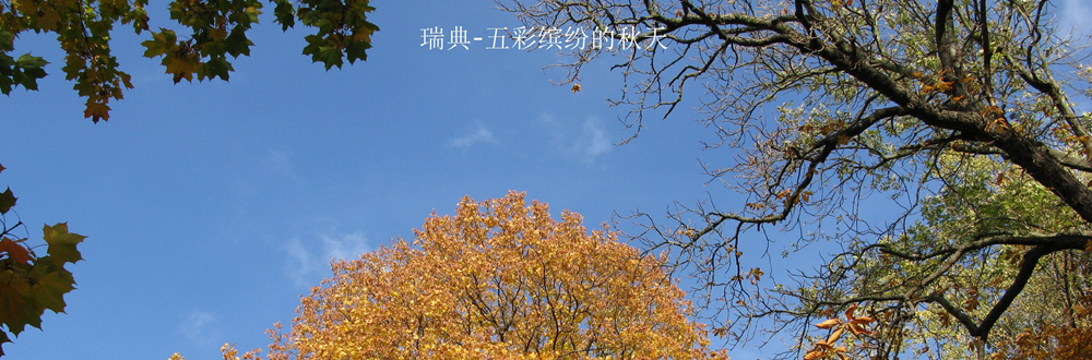 dsc_3218-2.jpg